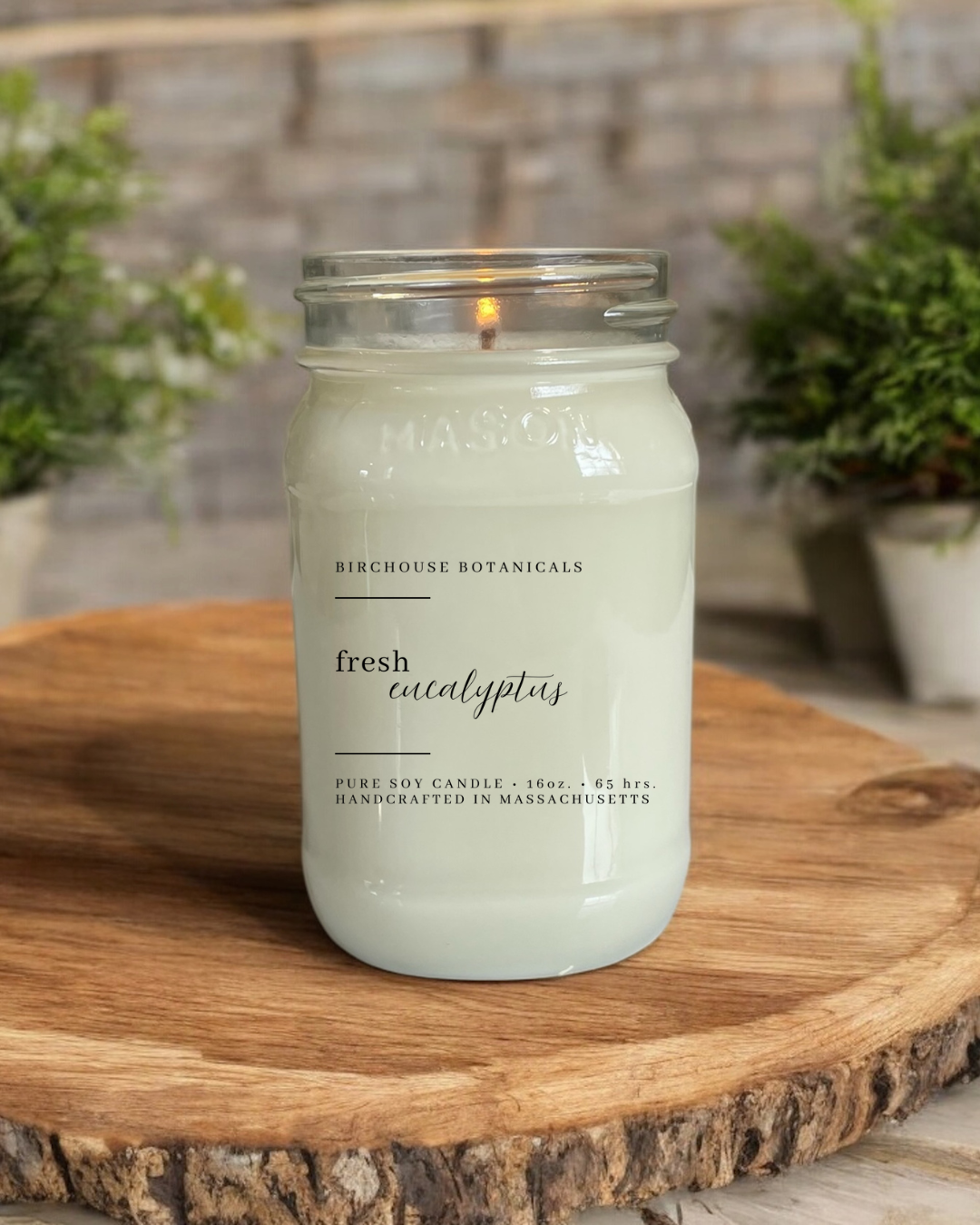 Fresh Eucalyptus Soy Candle