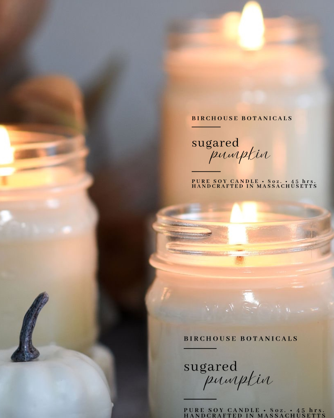 Sugared Pumpkin 8 oz. Soy Candle
