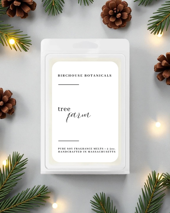 Home for the Holidays – Fragrance Melts