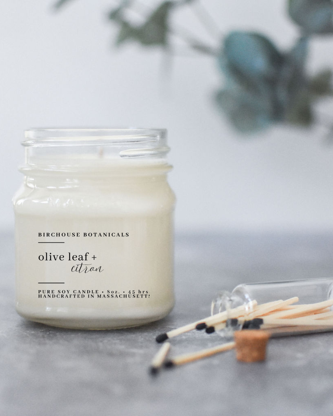 Olive Leaf & Citron 8 oz. Soy Candle